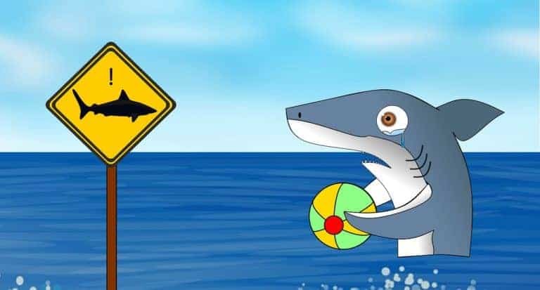 Акула стоит с мячом в море и плачет, потому что ей не с кем поиграть, она видит знак "осторожно акулы"