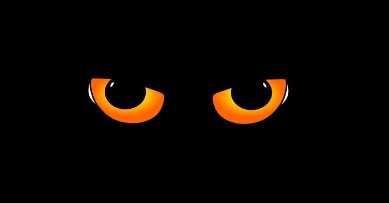 Оранжевые кошачьи глаза на темном фоне, смотрящие прямо на зрителя
